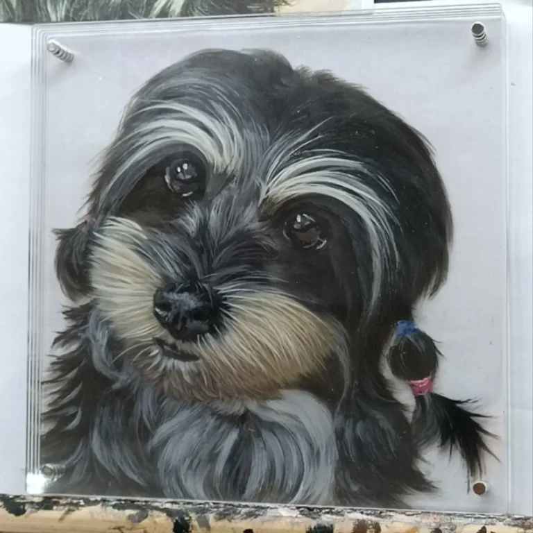 dog2