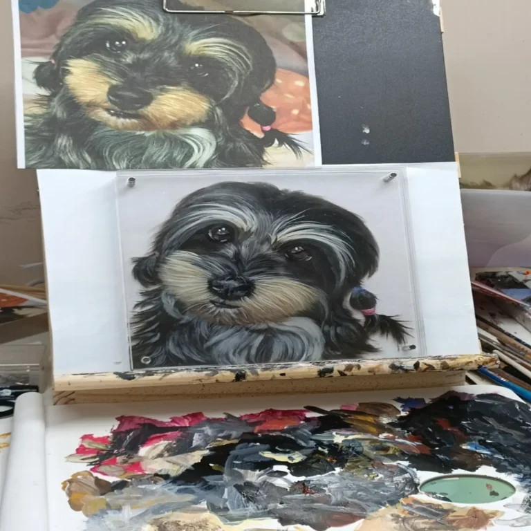 dog8